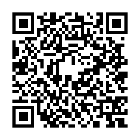 QR code for S450349
