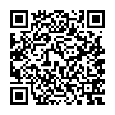 QR code for S461581
