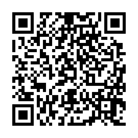 QR code for S463860