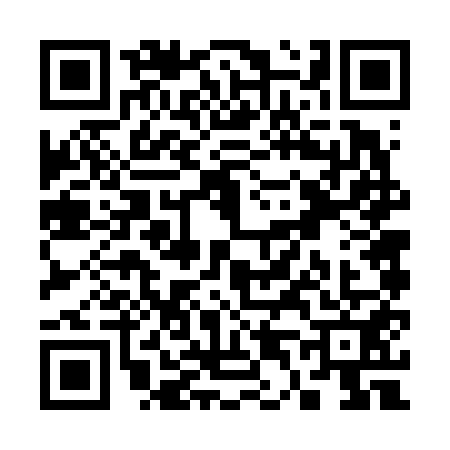 QR code for S466517