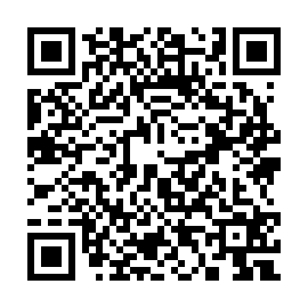 QR code for S492241
