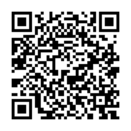 QR code for S493550