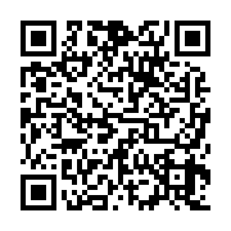 QR code for S508398