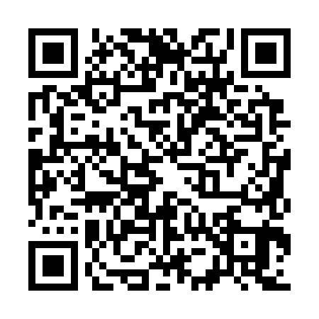 QR code for S513811