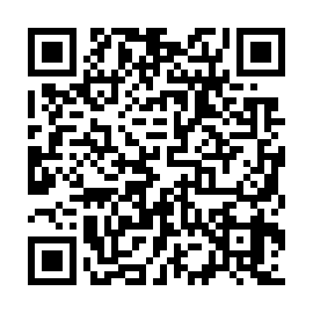 QR code for S517399