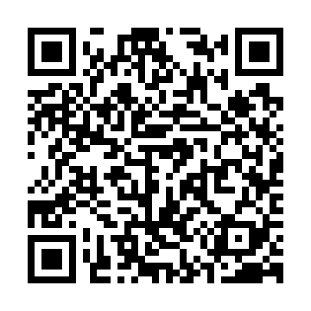 QR code for S53729