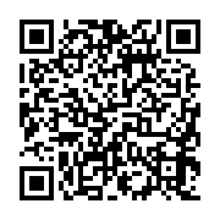 QR code for S538595