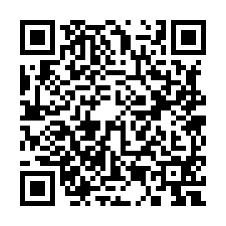 QR code for S538941