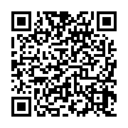 QR code for S540389