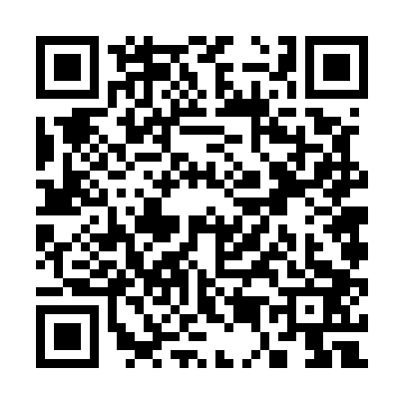 QR code for S565033