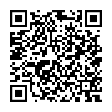QR code for S611539