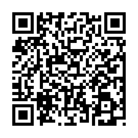 QR code for S629161