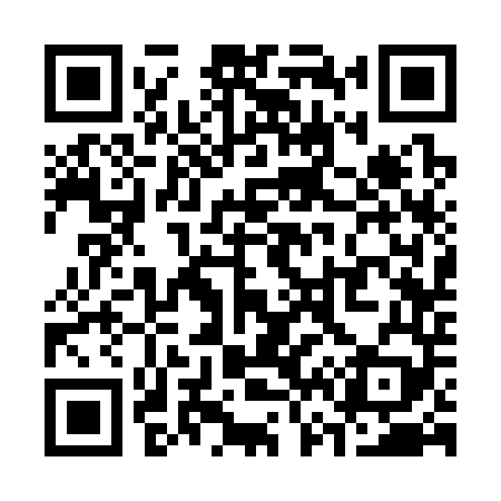 QR code for S63349