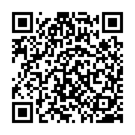 QR code for S63369
