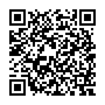 QR code for S636849