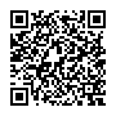 QR code for S639538