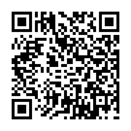 QR code for S653205