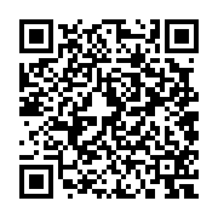 QR code for S660163