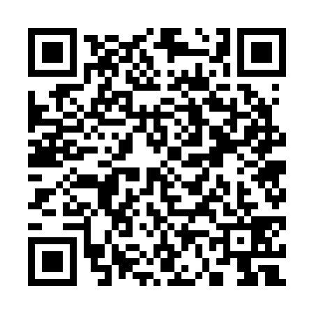 QR code for S672399