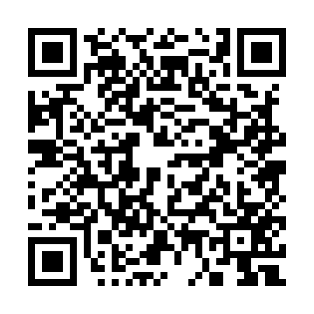 QR code for S709578