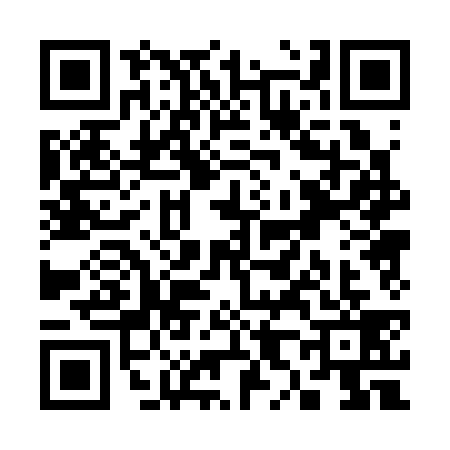 QR code for S803393