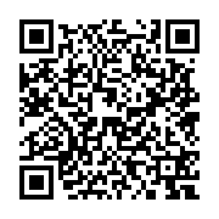 QR code for S805207