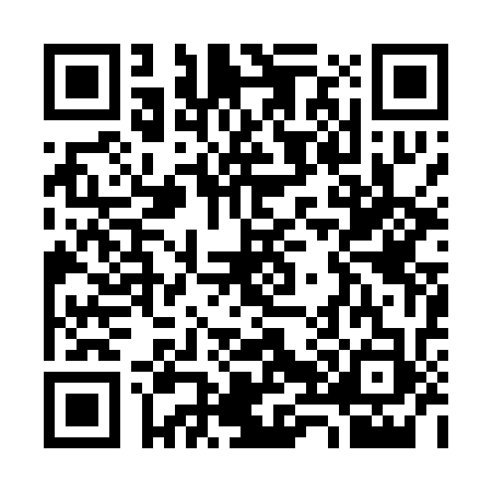 QR code for S810336
