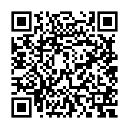 QR code for S828006