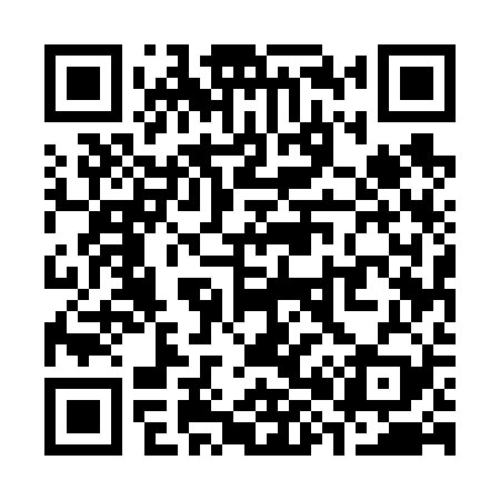 QR code for S85629
