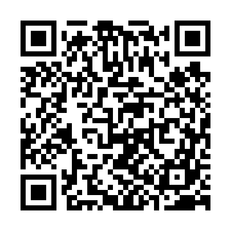 QR code for S85667