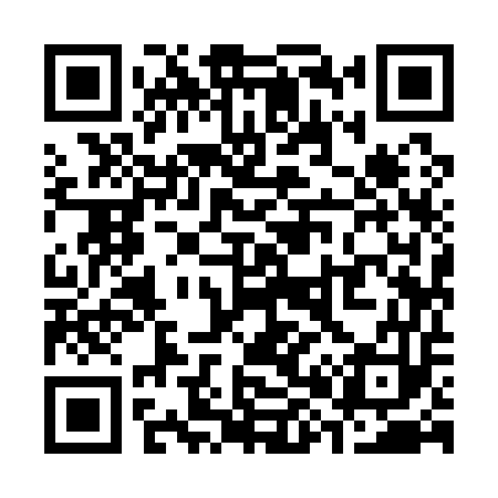 QR code for S89153
