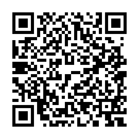 QR code for S903918