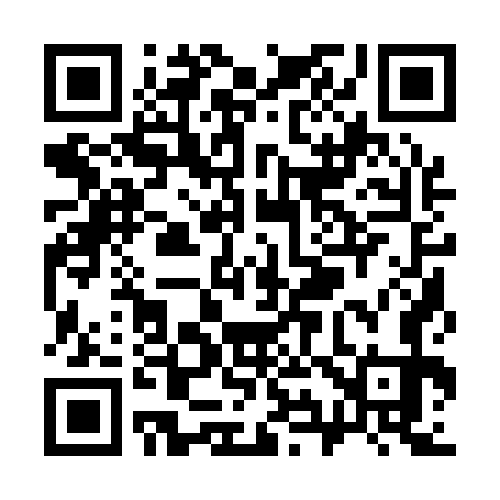 QR code for S91173