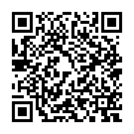 QR code for S917132