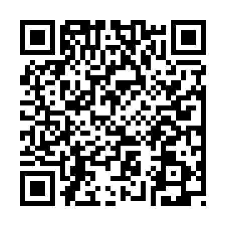 QR code for S961919