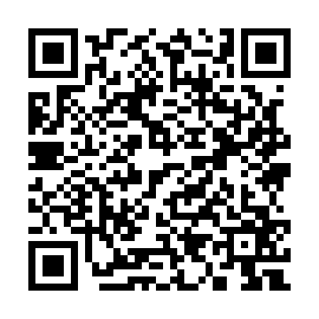QR code for S991666