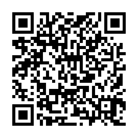QR code for S99505