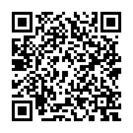 QR code for S995266