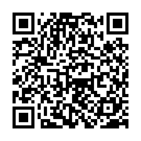 QR code for SAI225