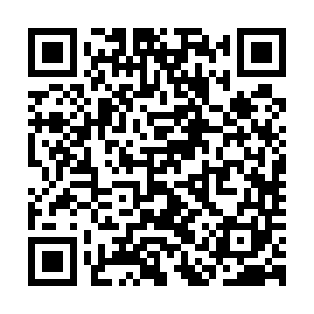 QR code for SAR541
