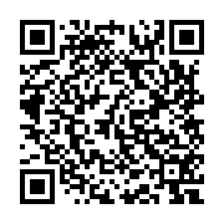 QR code for SAR954