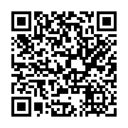 QR code for SAT317