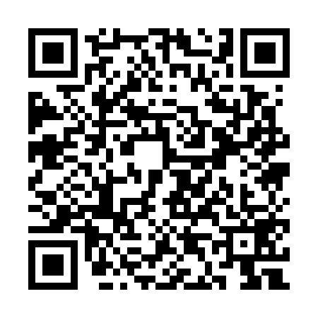 QR code for SD17597