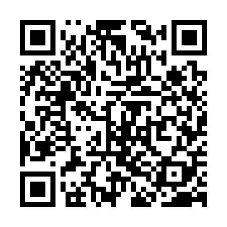 QR code for SDG309