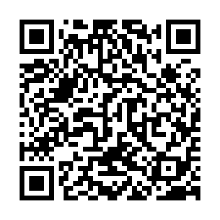 QR code for SDS919