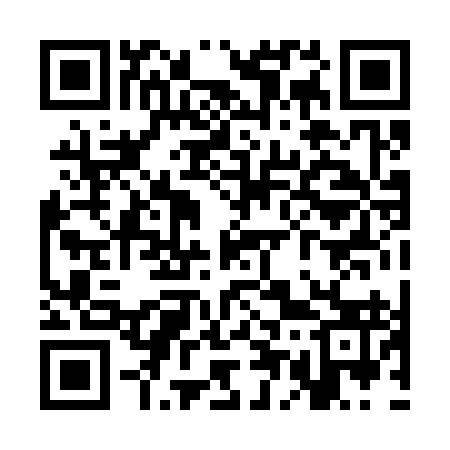 QR code for SE0393