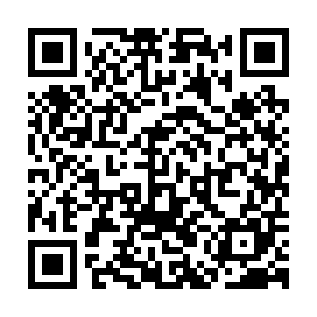 QR code for SEI205