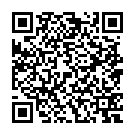 QR code for SF85738