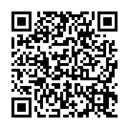 QR code for SG85378