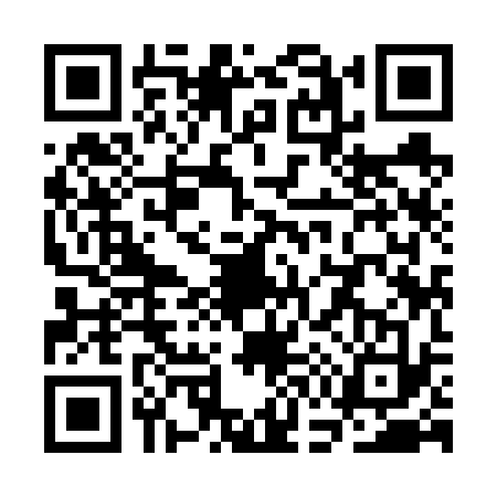 QR code for SG96331